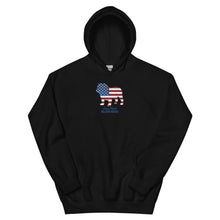 Load image into Gallery viewer, LIBR Patriotic Hoodie