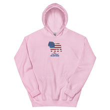 Load image into Gallery viewer, LIBR Patriotic Hoodie