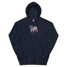 Load image into Gallery viewer, LIBR Patriotic Hoodie