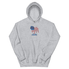 Load image into Gallery viewer, LIBR Patriotic Hoodie